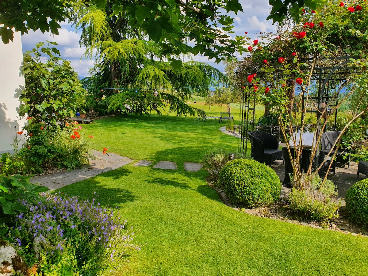 Premium garden with structured planting